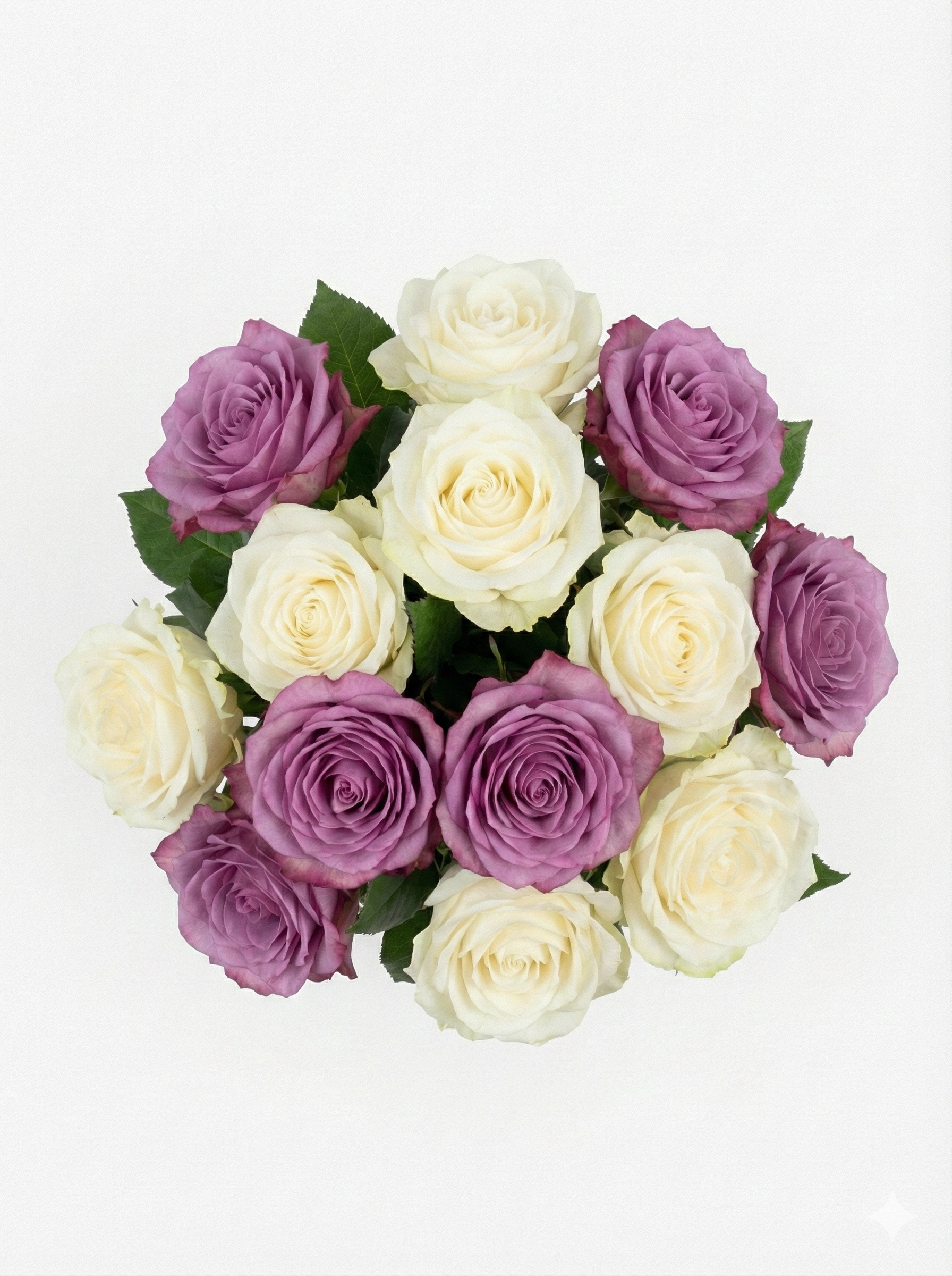 The Artisan’s Selection: 10 Premium Roses